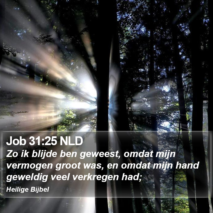 Job 31:25 NLD Bible Study