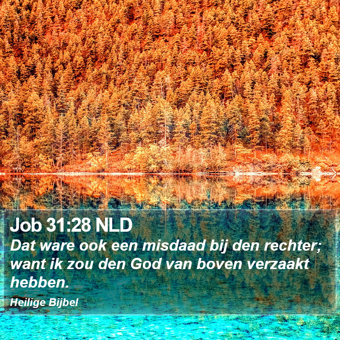 Job 31:28 NLD Bible Study