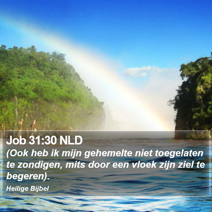 Job 31:30 NLD Bible Study