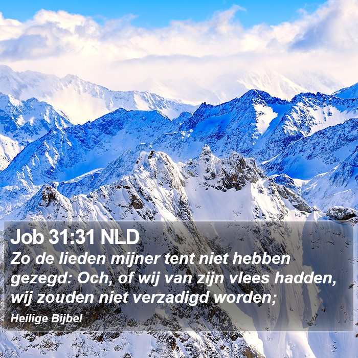 Job 31:31 NLD Bible Study