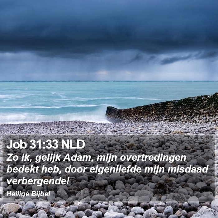 Job 31:33 NLD Bible Study