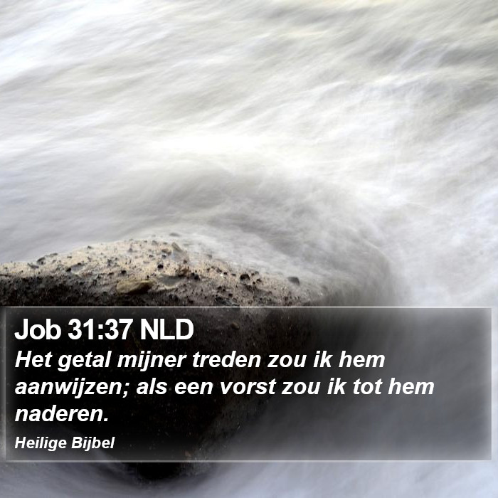 Job 31:37 NLD Bible Study