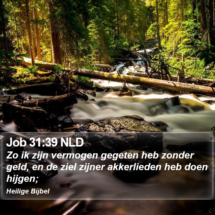 Job 31:39 NLD Bible Study