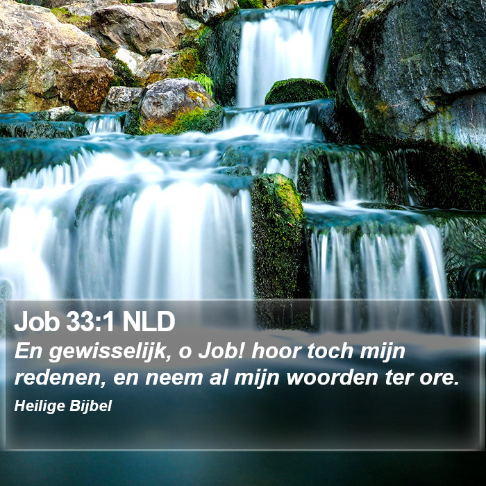 Job 33:1 NLD Bible Study