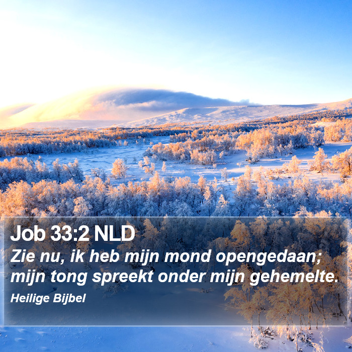 Job 33:2 NLD Bible Study