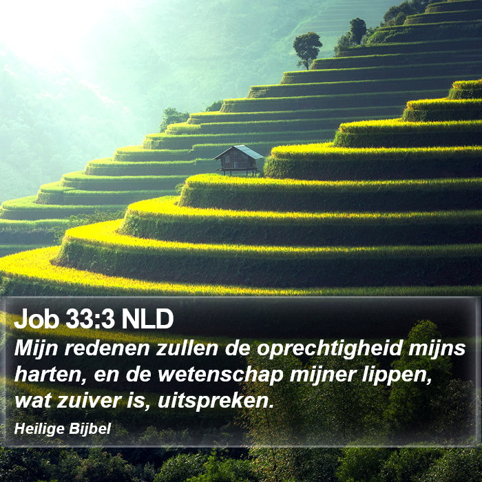 Job 33:3 NLD Bible Study