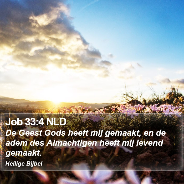 Job 33:4 NLD Bible Study