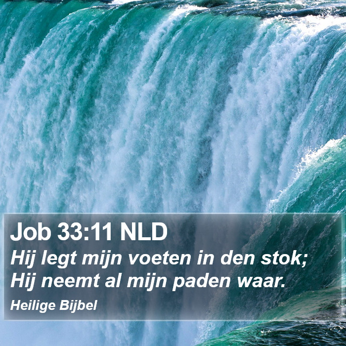 Job 33:11 NLD Bible Study