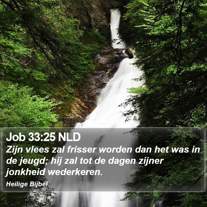 Job 33:25 NLD Bible Study