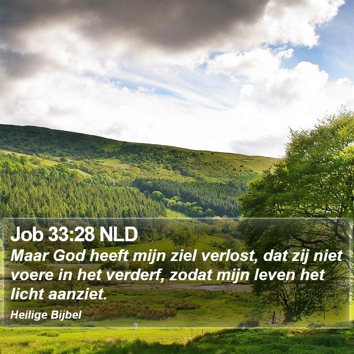 Job 33:28 NLD Bible Study