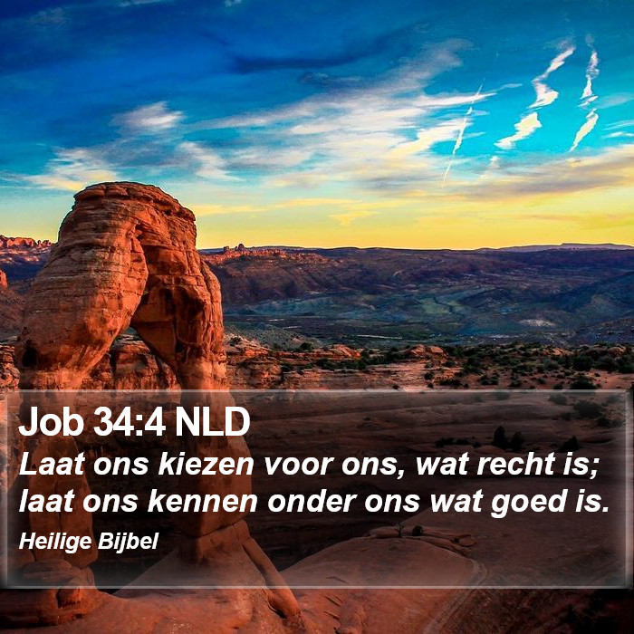 Job 34:4 NLD Bible Study