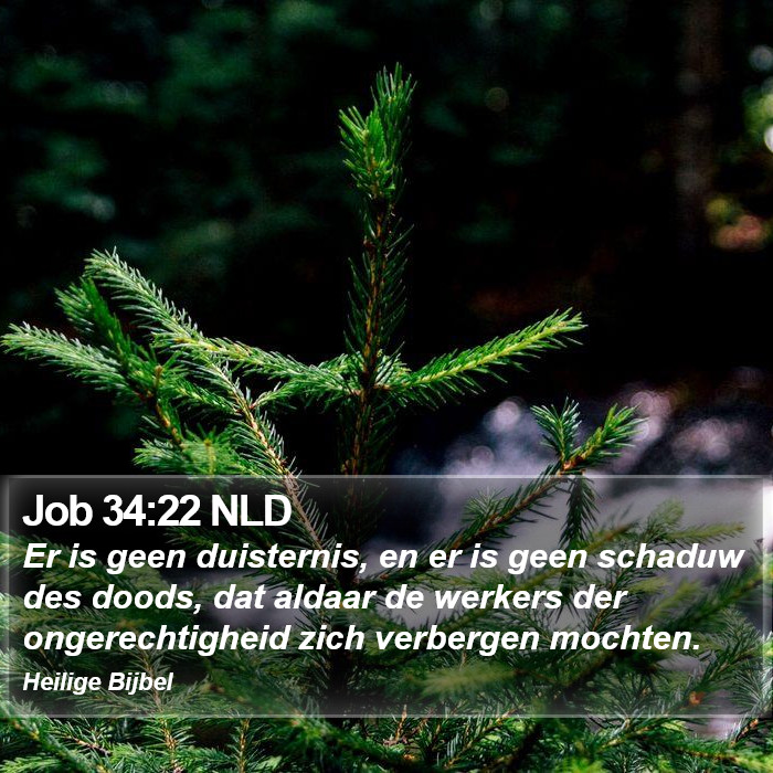 Job 34:22 NLD Bible Study