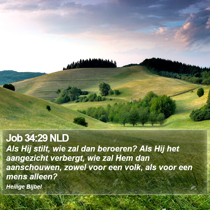 Job 34:29 NLD Bible Study