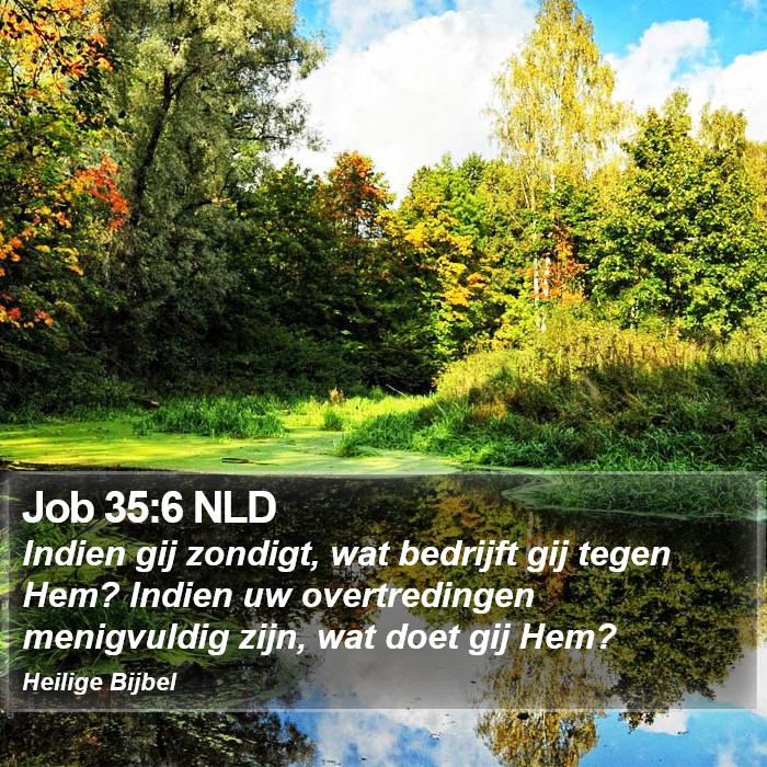 Job 35:6 NLD Bible Study