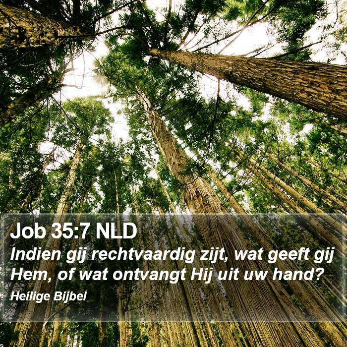 Job 35:7 NLD Bible Study