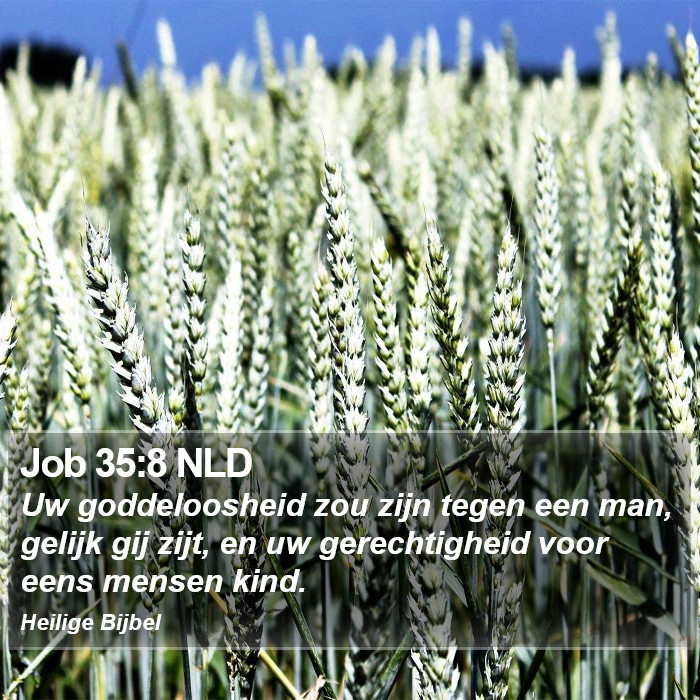 Job 35:8 NLD Bible Study