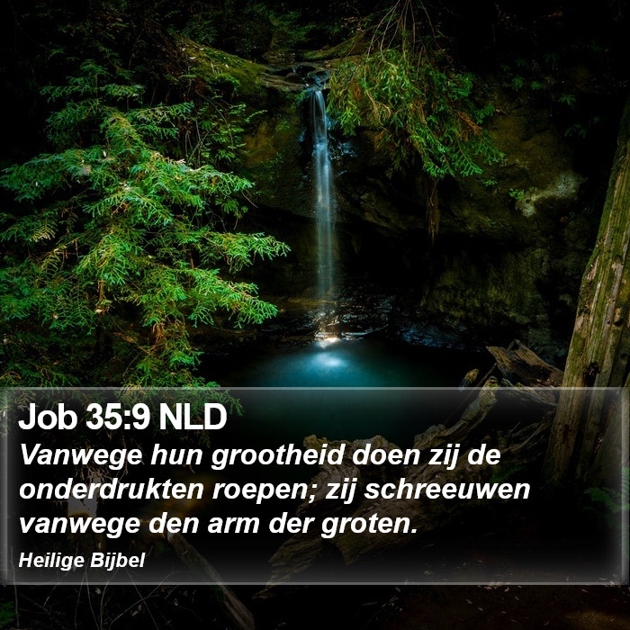 Job 35:9 NLD Bible Study