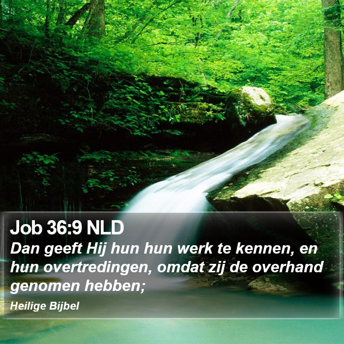 Job 36:9 NLD Bible Study