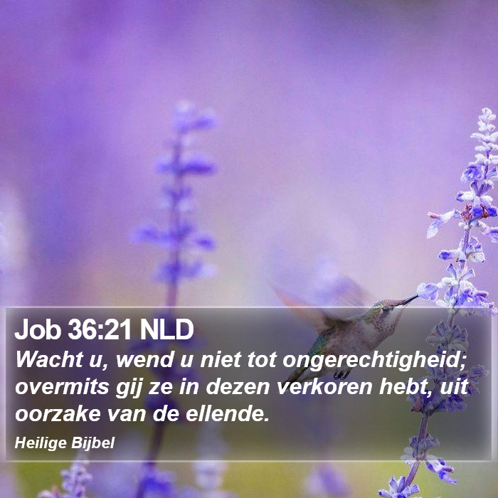 Job 36:21 NLD Bible Study