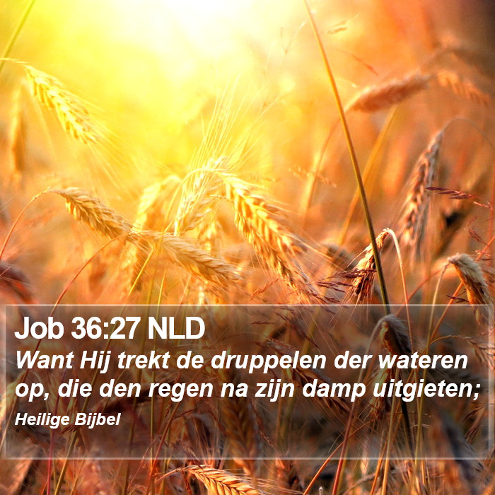 Job 36:27 NLD Bible Study