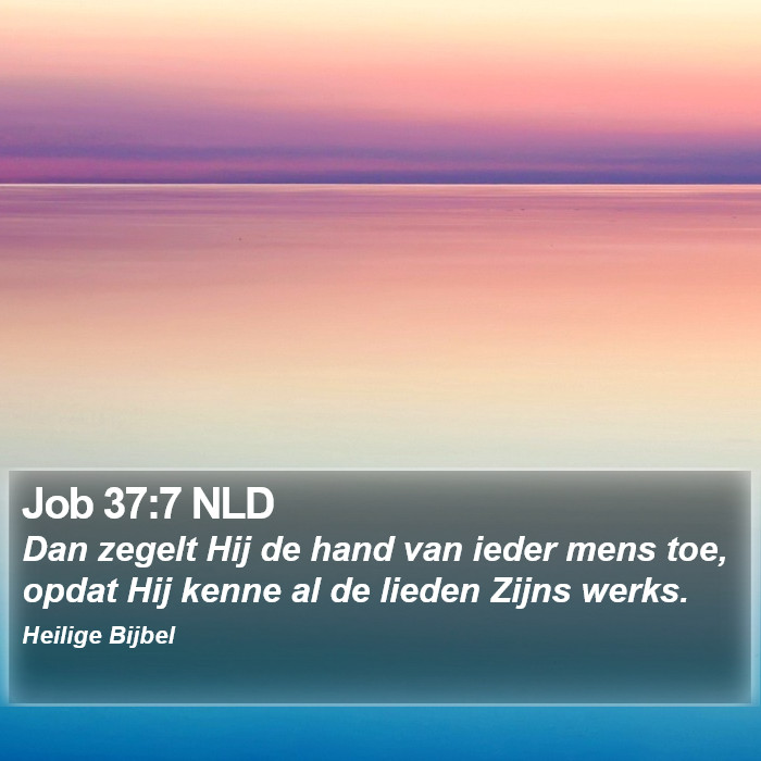 Job 37:7 NLD Bible Study