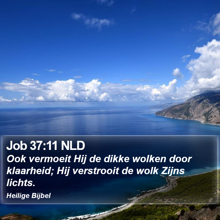 Job 37:11 NLD Bible Study