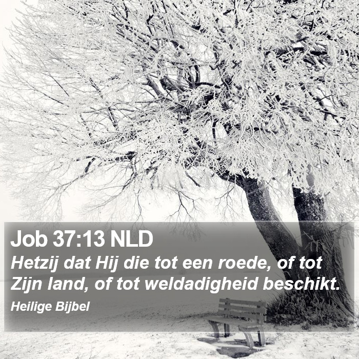 Job 37:13 NLD Bible Study