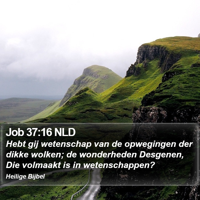 Job 37:16 NLD Bible Study