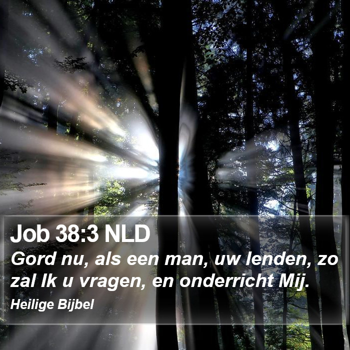 Job 38:3 NLD Bible Study