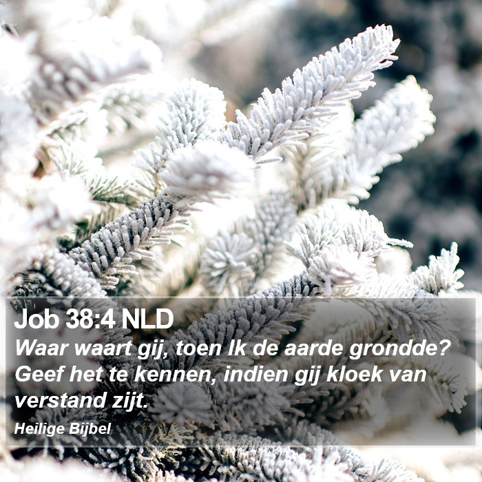 Job 38:4 NLD Bible Study