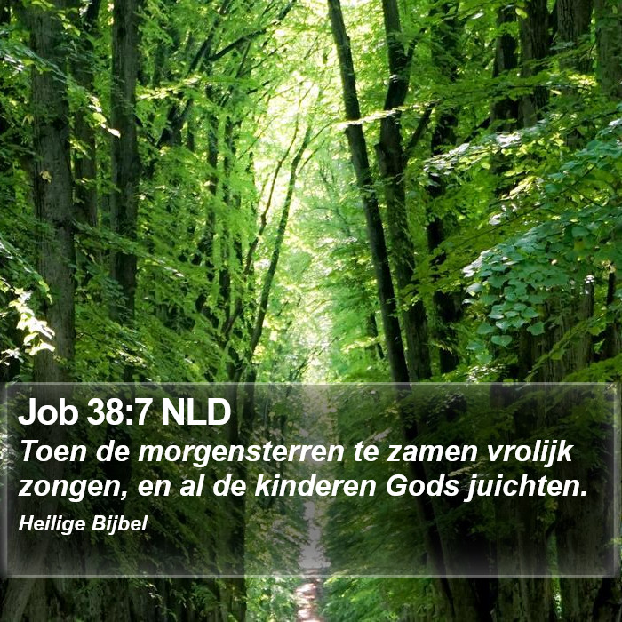 Job 38:7 NLD Bible Study