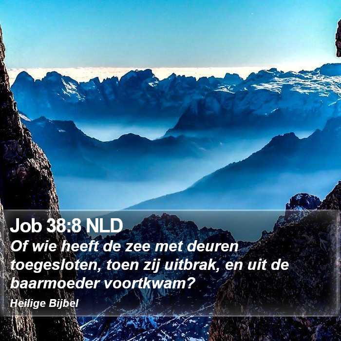 Job 38:8 NLD Bible Study