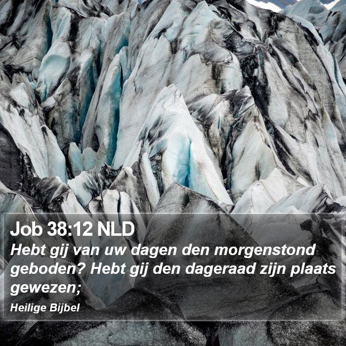 Job 38:12 NLD Bible Study
