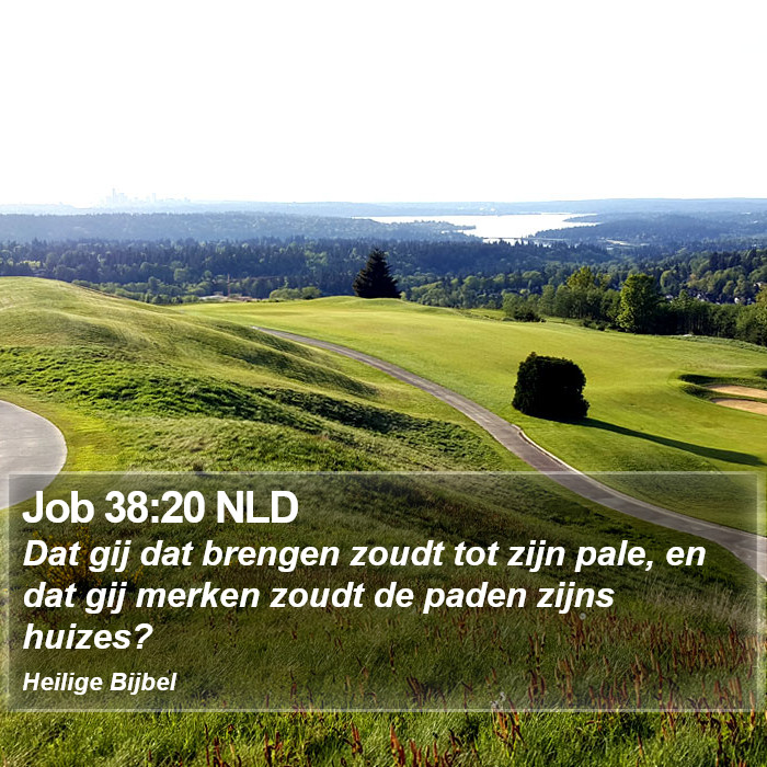 Job 38:20 NLD Bible Study