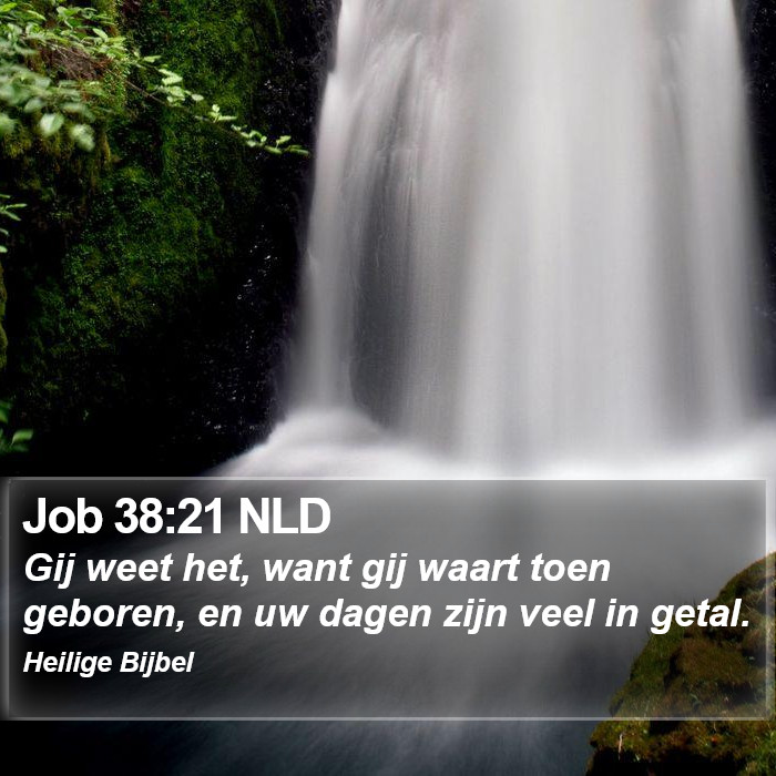 Job 38:21 NLD Bible Study