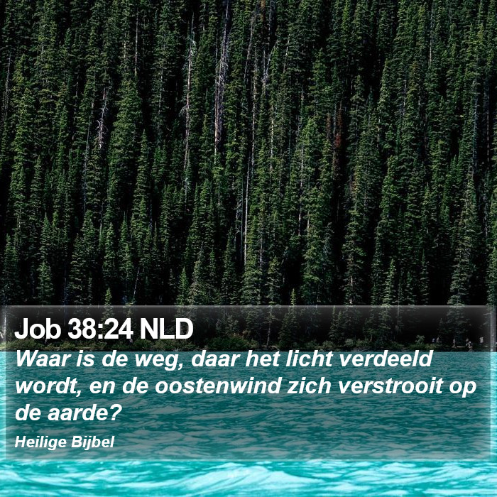 Job 38:24 NLD Bible Study