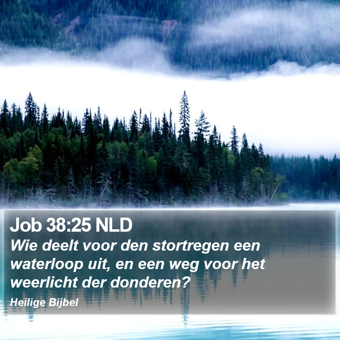 Job 38:25 NLD Bible Study