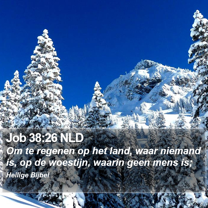 Job 38:26 NLD Bible Study