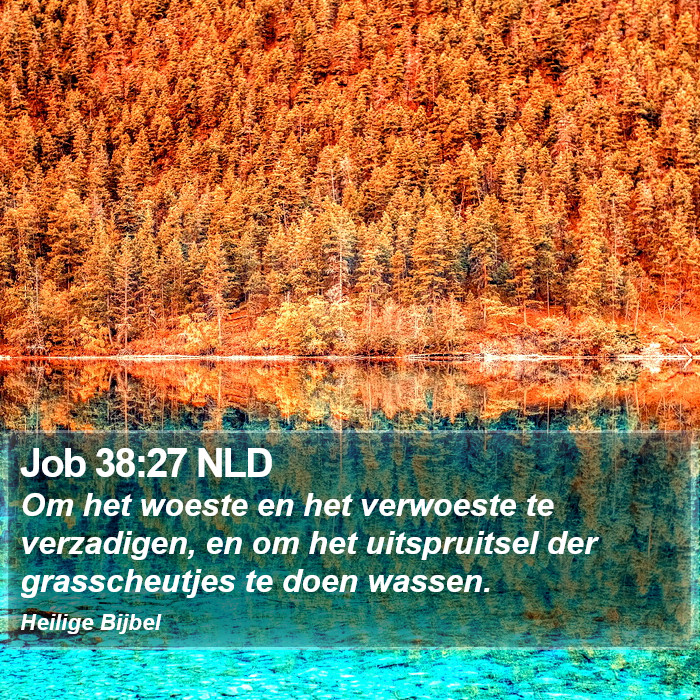 Job 38:27 NLD Bible Study
