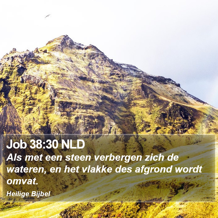 Job 38:30 NLD Bible Study