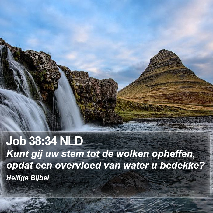 Job 38:34 NLD Bible Study