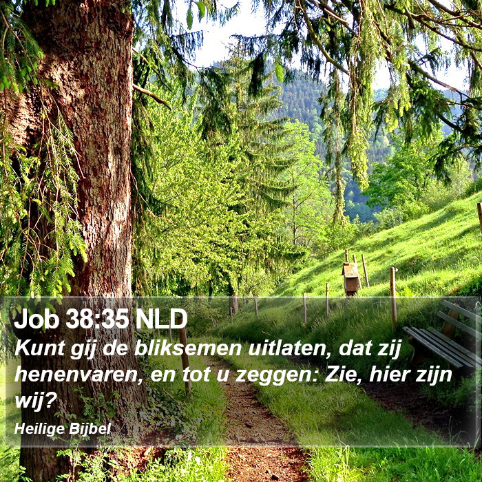 Job 38:35 NLD Bible Study