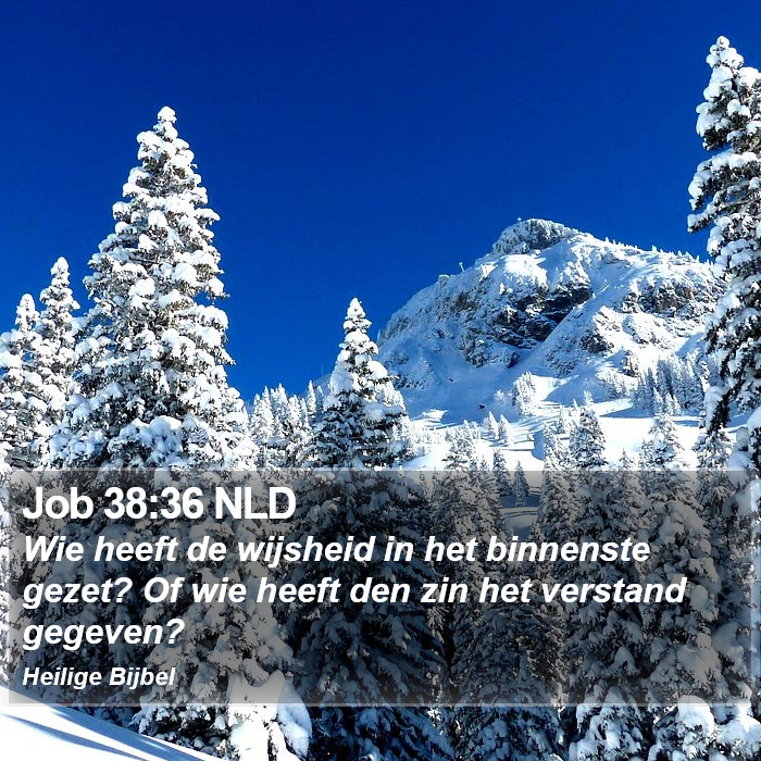 Job 38:36 NLD Bible Study