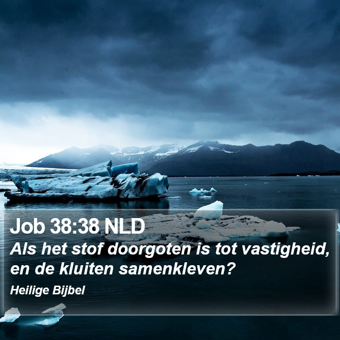 Job 38:38 NLD Bible Study