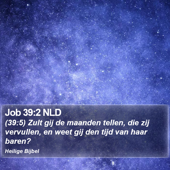 Job 39:2 NLD Bible Study