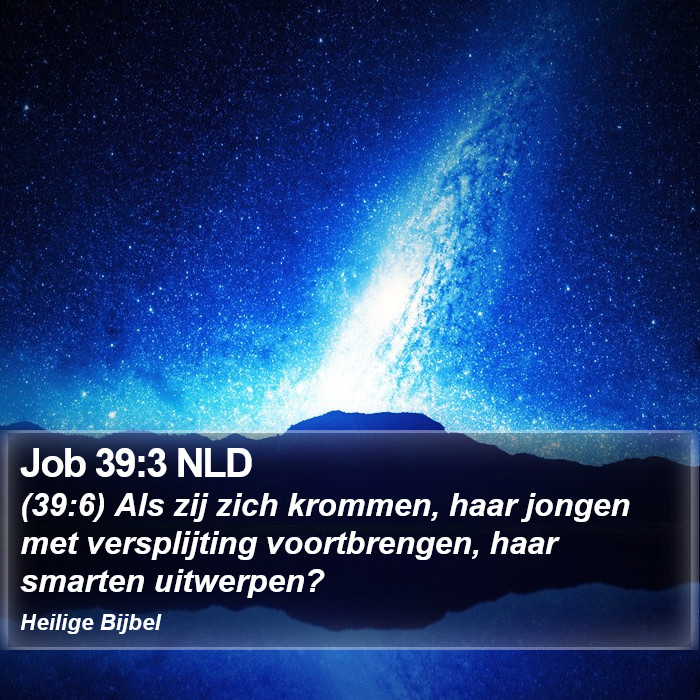 Job 39:3 NLD Bible Study