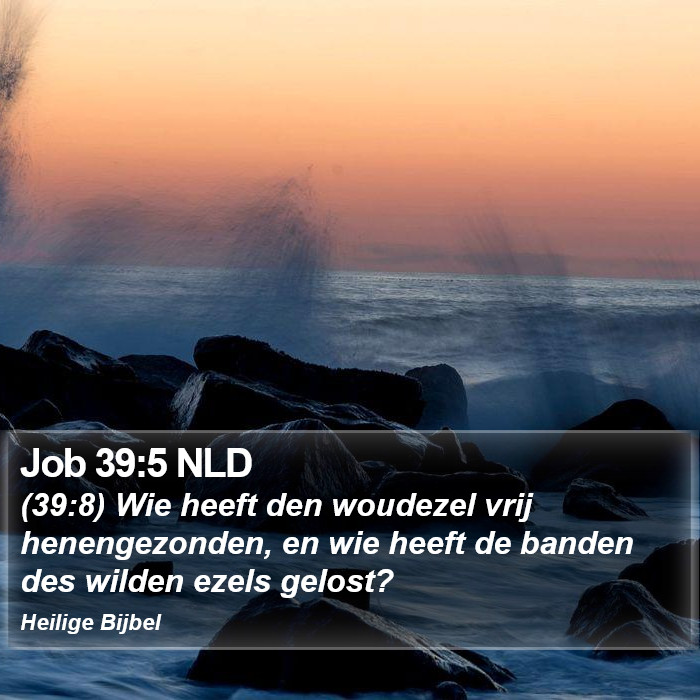 Job 39:5 NLD Bible Study