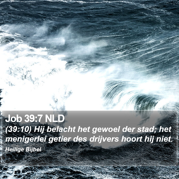 Job 39:7 NLD Bible Study