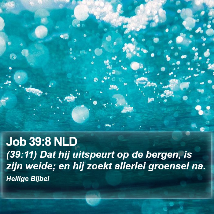 Job 39:8 NLD Bible Study