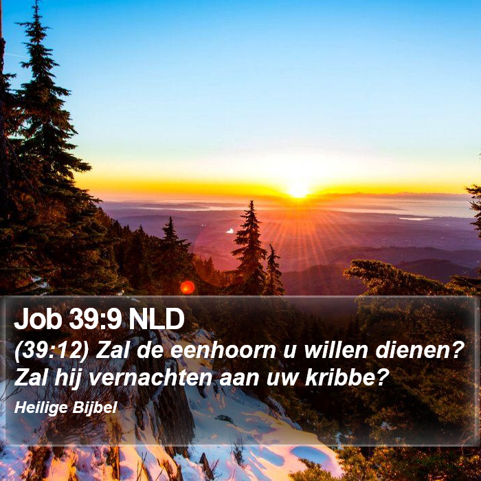 Job 39:9 NLD Bible Study